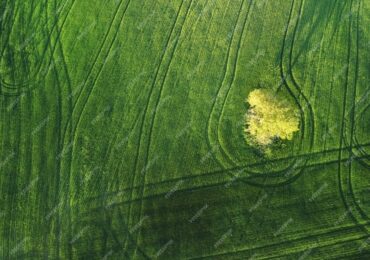 AgroHub: Pioneering Smart Agriculture for a Sustainable Future